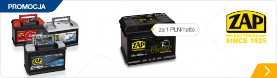 ZAP - z zyskiem!